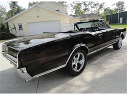1967 Oldsmobile Cutlass Supreme (CC-2065574) for sale in Sarasota, Florida