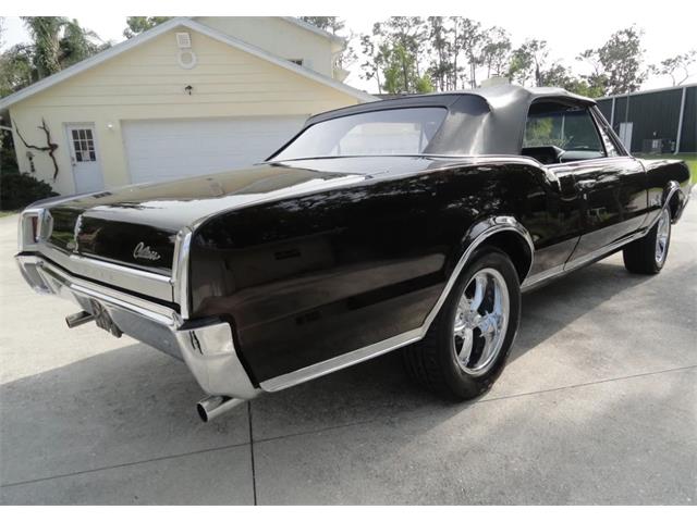 1967 Oldsmobile Cutlass Supreme (CC-2065574) for sale in Sarasota, Florida
