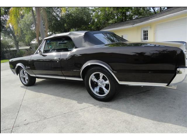 1967 Oldsmobile Cutlass Supreme (CC-2065574) for sale in Sarasota, Florida