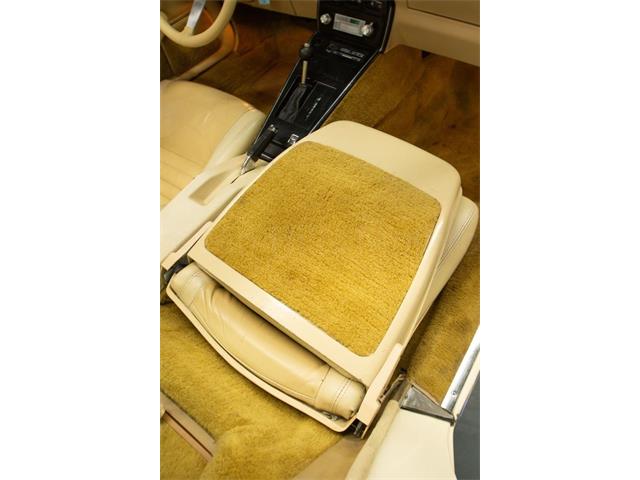 1979 Chevrolet Corvette (CC-2065596) for sale in Cincinnati, Ohio