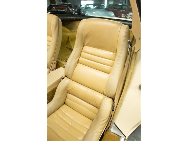 1979 Chevrolet Corvette (CC-2065596) for sale in Cincinnati, Ohio