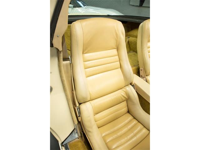 1979 Chevrolet Corvette (CC-2065596) for sale in Cincinnati, Ohio