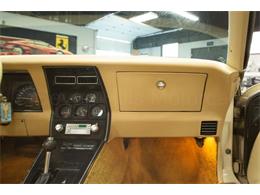 1979 Chevrolet Corvette (CC-2065596) for sale in Cincinnati, Ohio