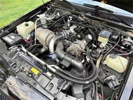 1987 Buick Regal (CC-2065635) for sale in Arlington Heights, Illinois