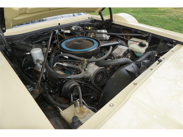 1979 Cadillac Seville (CC-2065700) for sale in Monroe Township, New Jersey