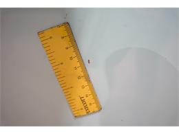 1978 Ford F100 (CC-2065715) for sale in Kentwood, Michigan