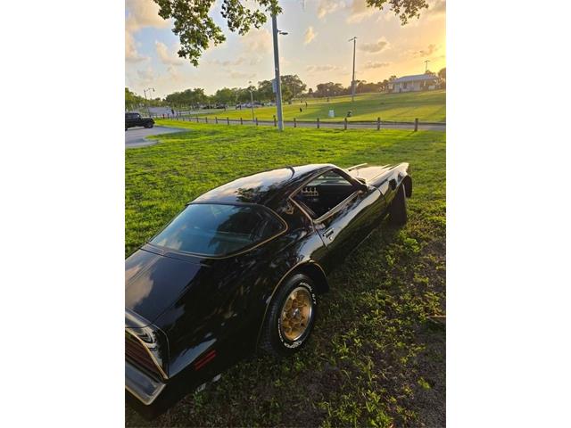 1976 Pontiac Firebird Trans Am (CC-2065720) for sale in Glendale, California