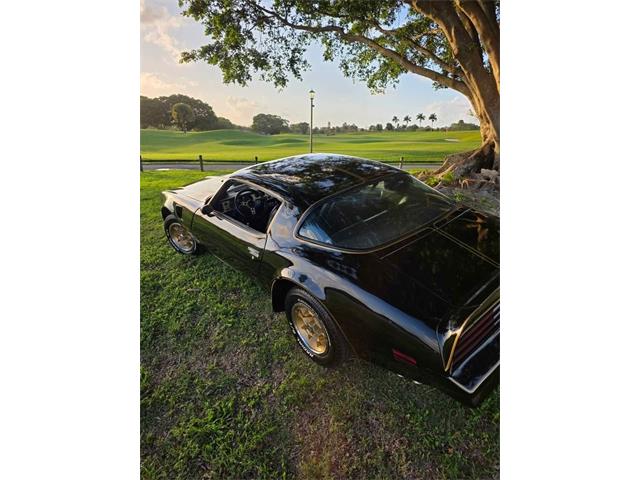 1976 Pontiac Firebird Trans Am (CC-2065720) for sale in Glendale, California