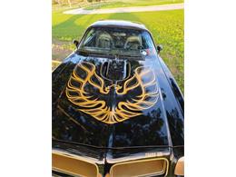 1976 Pontiac Firebird Trans Am (CC-2065720) for sale in Glendale, California