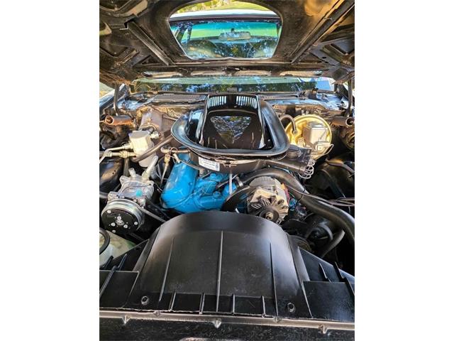 1976 Pontiac Firebird Trans Am (CC-2065720) for sale in Glendale, California