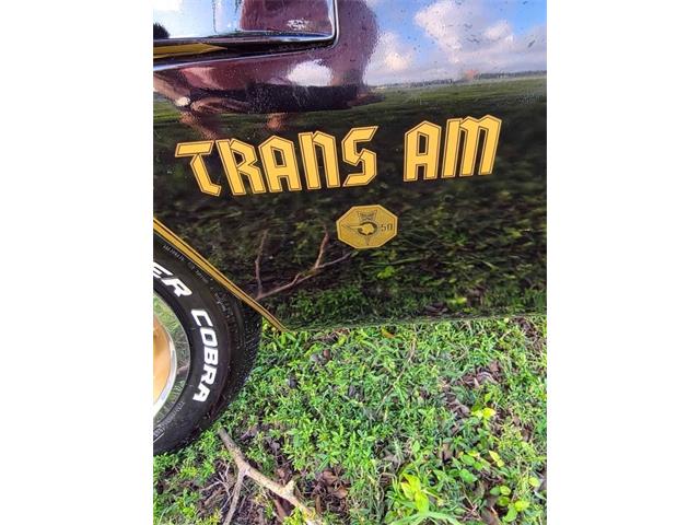 1976 Pontiac Firebird Trans Am (CC-2065720) for sale in Glendale, California