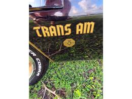 1976 Pontiac Firebird Trans Am (CC-2065720) for sale in Glendale, California