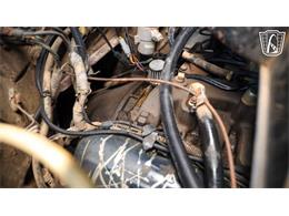 1980 International Harvester Scout II (CC-2065728) for sale in New Braundfels, Texas