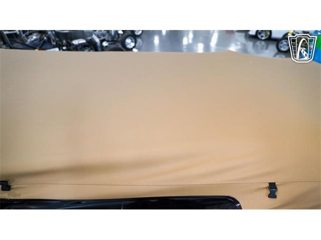 1980 International Harvester Scout II (CC-2065728) for sale in New Braundfels, Texas