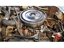 1980 International Harvester Scout II (CC-2065728) for sale in New Braundfels, Texas