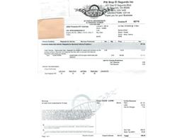 2002 Porsche 996 (CC-2065740) for sale in Beverly Hills, California