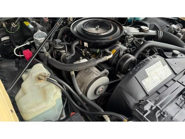 1985 Cadillac Eldorado (CC-2065763) for sale in Addison, Illinois