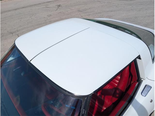 1979 Chevrolet Corvette (CC-2065770) for sale in Palmetto, Florida