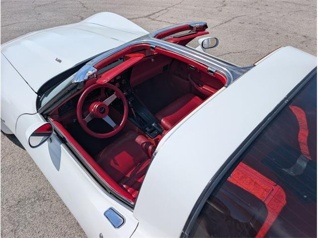 1979 Chevrolet Corvette (CC-2065770) for sale in Palmetto, Florida