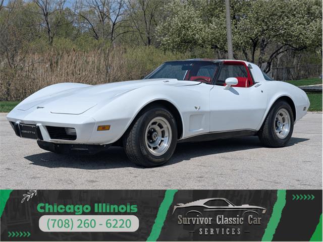 1979 Chevrolet Corvette (CC-2065770) for sale in Palmetto, Florida