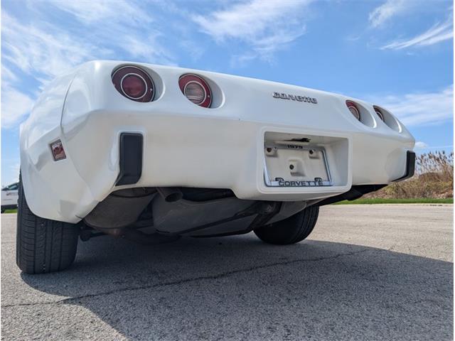 1979 Chevrolet Corvette (CC-2065770) for sale in Palmetto, Florida