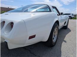 1979 Chevrolet Corvette (CC-2065770) for sale in Palmetto, Florida