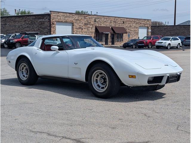 1979 Chevrolet Corvette (CC-2065770) for sale in Palmetto, Florida