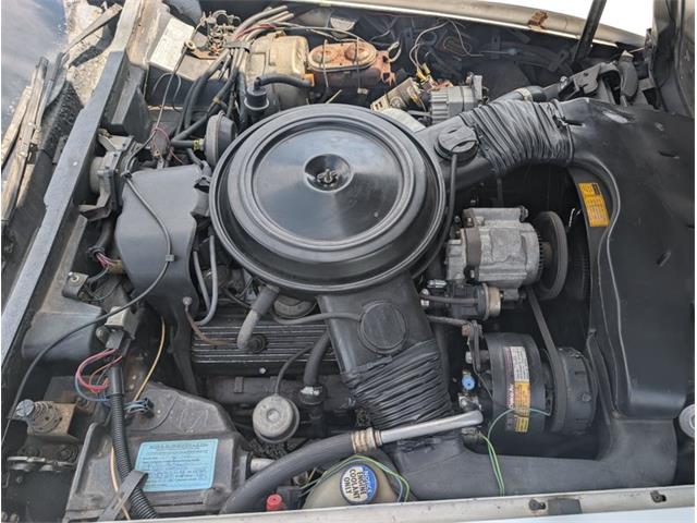 1979 Chevrolet Corvette (CC-2065770) for sale in Palmetto, Florida