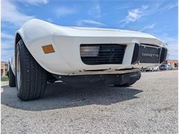 1979 Chevrolet Corvette (CC-2065770) for sale in Palmetto, Florida