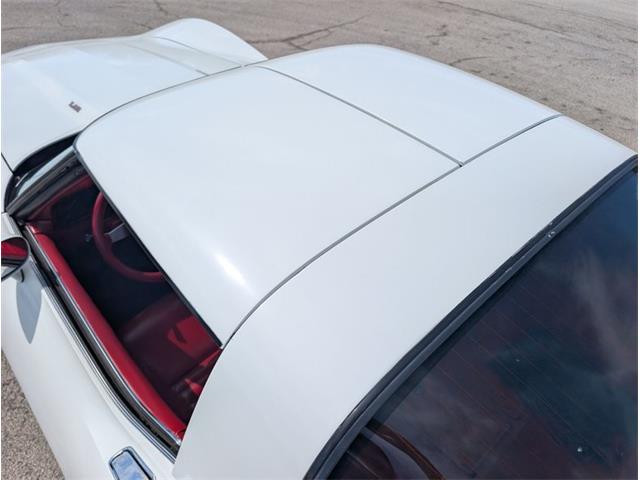 1979 Chevrolet Corvette (CC-2065770) for sale in Palmetto, Florida