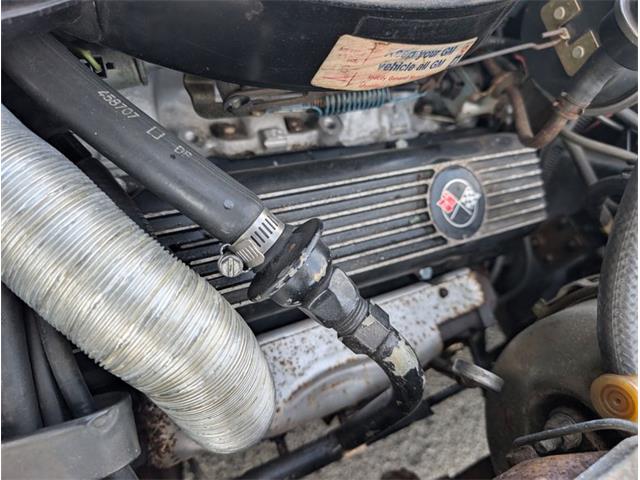 1979 Chevrolet Corvette (CC-2065770) for sale in Palmetto, Florida