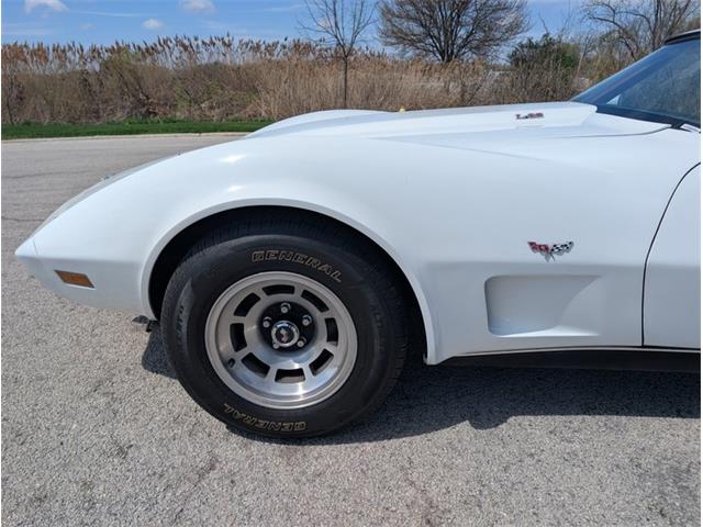 1979 Chevrolet Corvette (CC-2065770) for sale in Palmetto, Florida