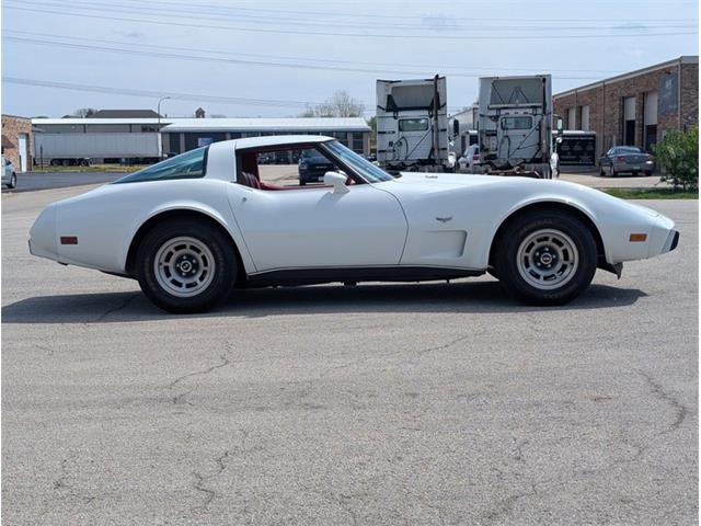 1979 Chevrolet Corvette (CC-2065770) for sale in Palmetto, Florida