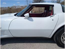 1979 Chevrolet Corvette (CC-2065770) for sale in Palmetto, Florida