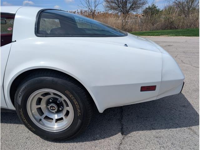 1979 Chevrolet Corvette (CC-2065770) for sale in Palmetto, Florida