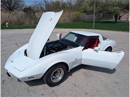 1979 Chevrolet Corvette (CC-2065770) for sale in Palmetto, Florida