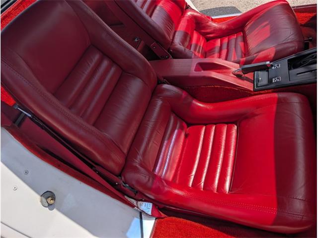 1979 Chevrolet Corvette (CC-2065770) for sale in Palmetto, Florida