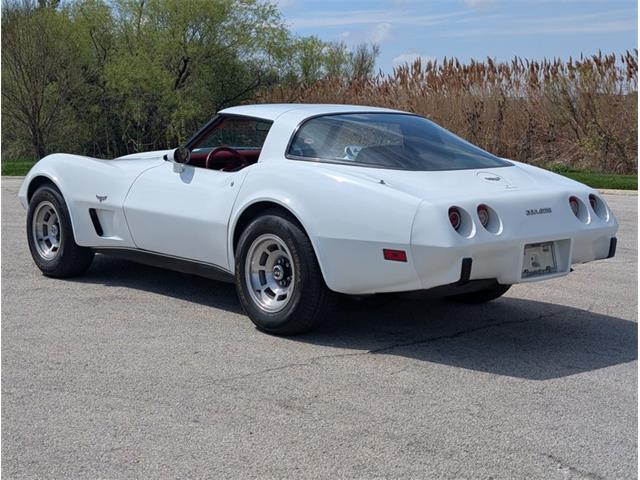 1979 Chevrolet Corvette (CC-2065770) for sale in Palmetto, Florida