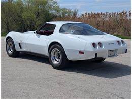 1979 Chevrolet Corvette (CC-2065770) for sale in Palmetto, Florida