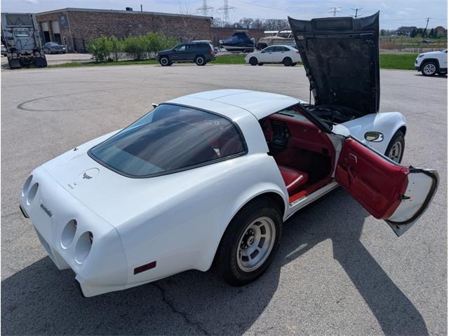 1979 Chevrolet Corvette (CC-2065770) for sale in Palmetto, Florida