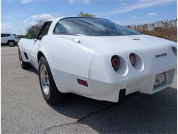 1979 Chevrolet Corvette (CC-2065770) for sale in Palmetto, Florida