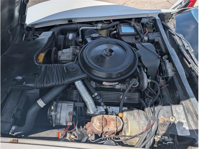 1979 Chevrolet Corvette (CC-2065770) for sale in Palmetto, Florida