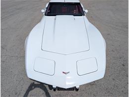 1979 Chevrolet Corvette (CC-2065770) for sale in Palmetto, Florida