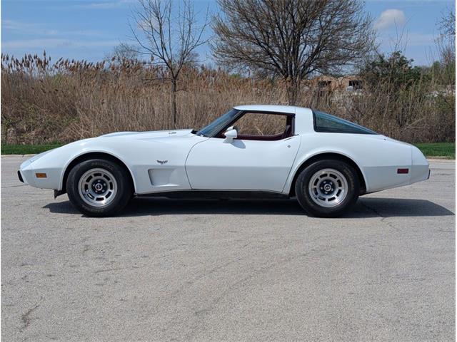 1979 Chevrolet Corvette (CC-2065770) for sale in Palmetto, Florida