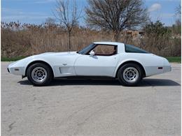1979 Chevrolet Corvette (CC-2065770) for sale in Palmetto, Florida