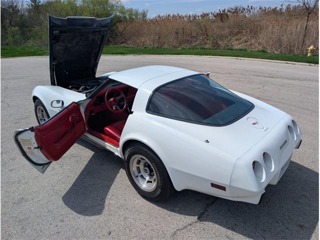 1979 Chevrolet Corvette (CC-2065770) for sale in Palmetto, Florida