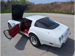 1979 Chevrolet Corvette (CC-2065770) for sale in Palmetto, Florida