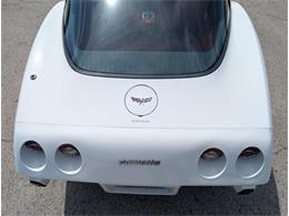 1979 Chevrolet Corvette (CC-2065770) for sale in Palmetto, Florida