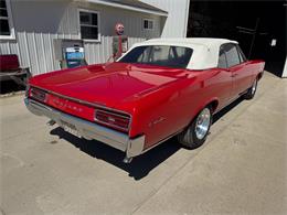 1967 Pontiac LeMans (CC-2065771) for sale in Brookings, South Dakota