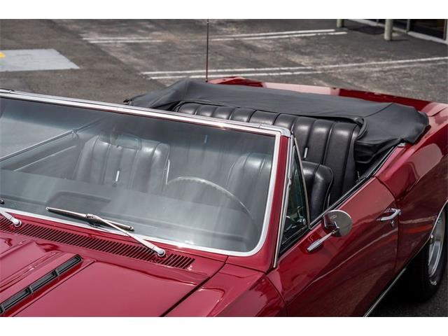 1966 Chevrolet Chevelle (CC-2065834) for sale in Laguna Beach, California